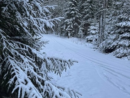 Rally Alūksne: No savas puses esam ieguldījuši lielu darbu, lai šie svētki izdotos